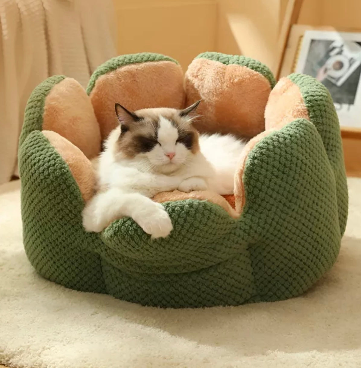Cactus Flower Pet Bed – Cozy Plush Nest for Cats & Small Dogs