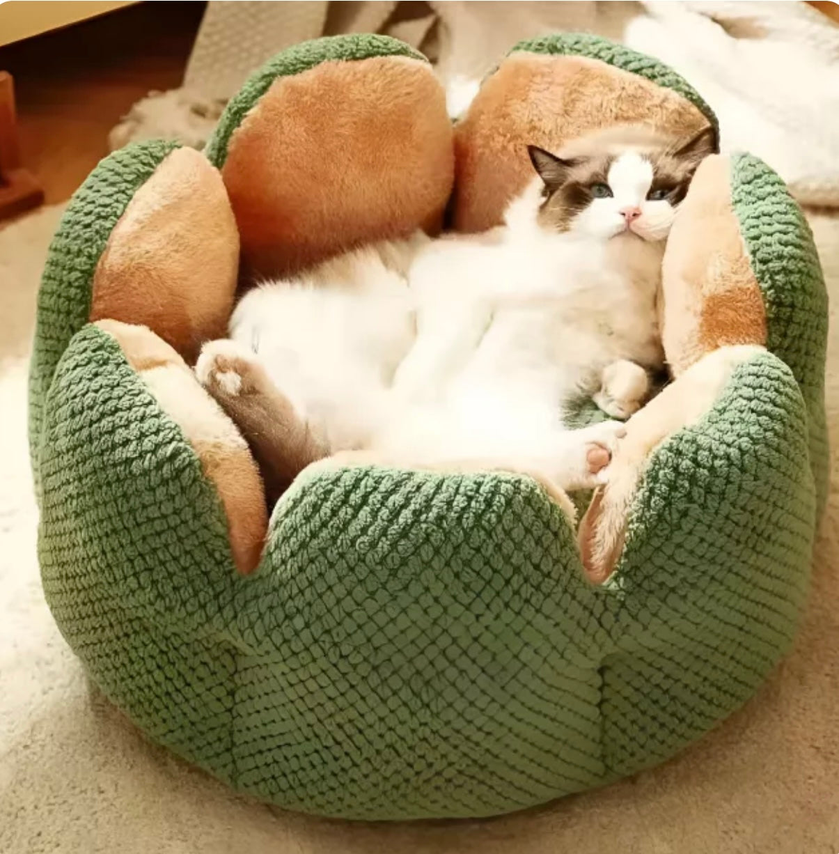 Cactus Flower Pet Bed – Cozy Plush Nest for Cats & Small Dogs