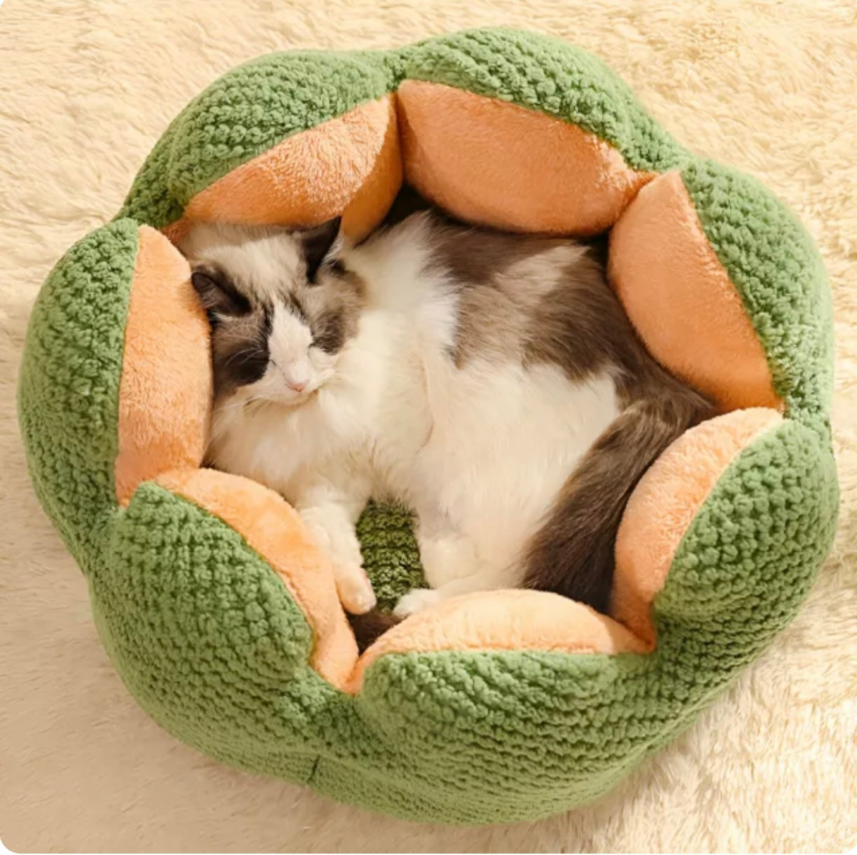 Cactus Flower Pet Bed – Cozy Plush Nest for Cats & Small Dogs