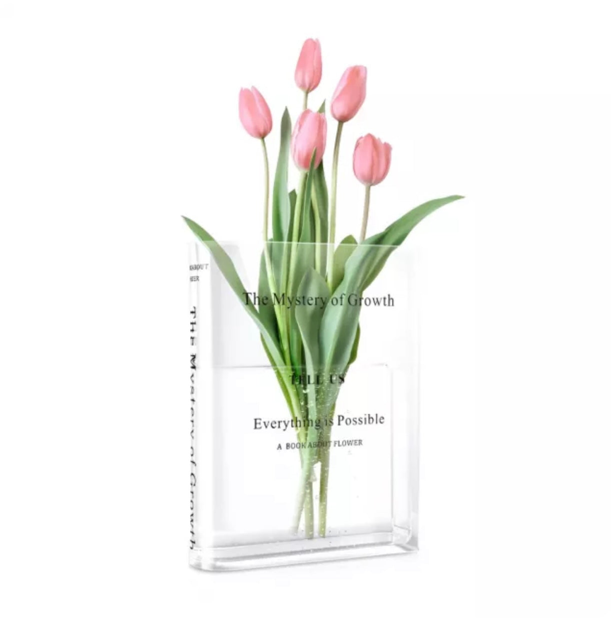 Décor Accents