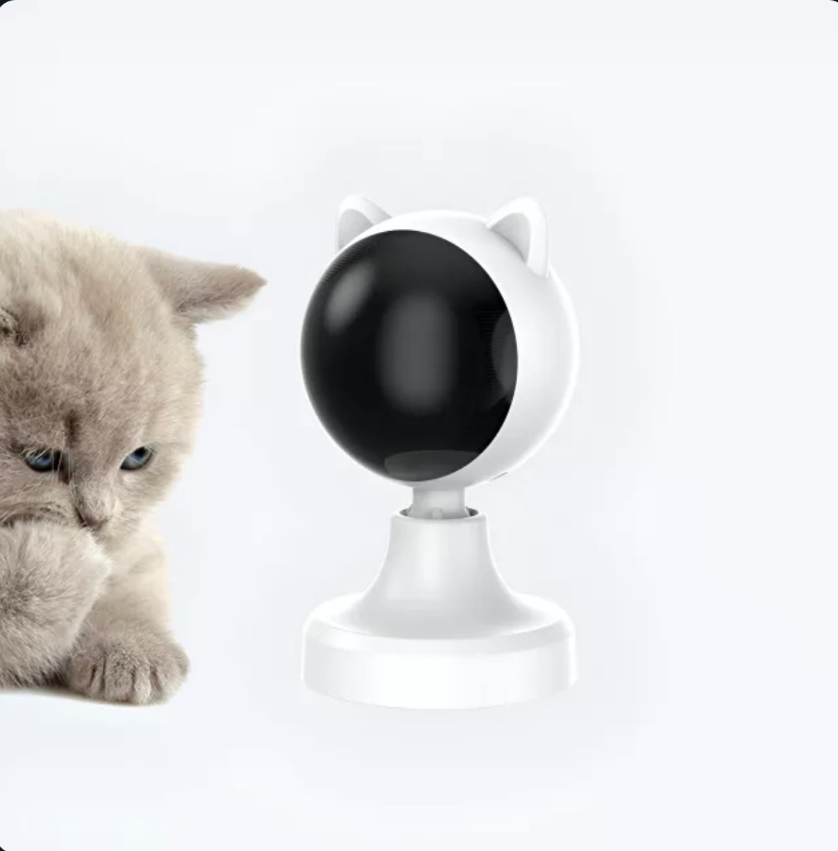 Pet Gadgets & Tech