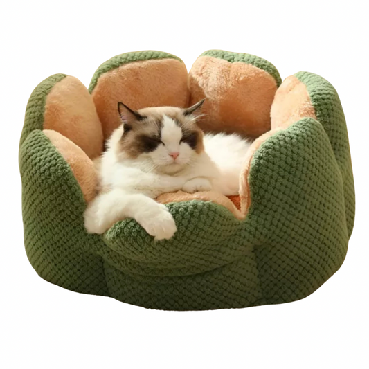 Cactus Flower Pet Bed – Cozy Plush Nest for Cats & Small Dogs